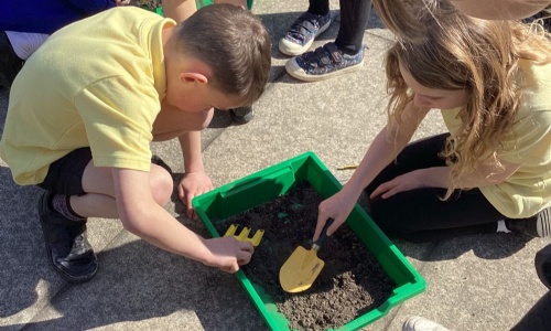 What is soil?