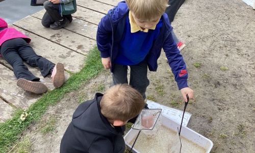 Hunting for Mini-beasts